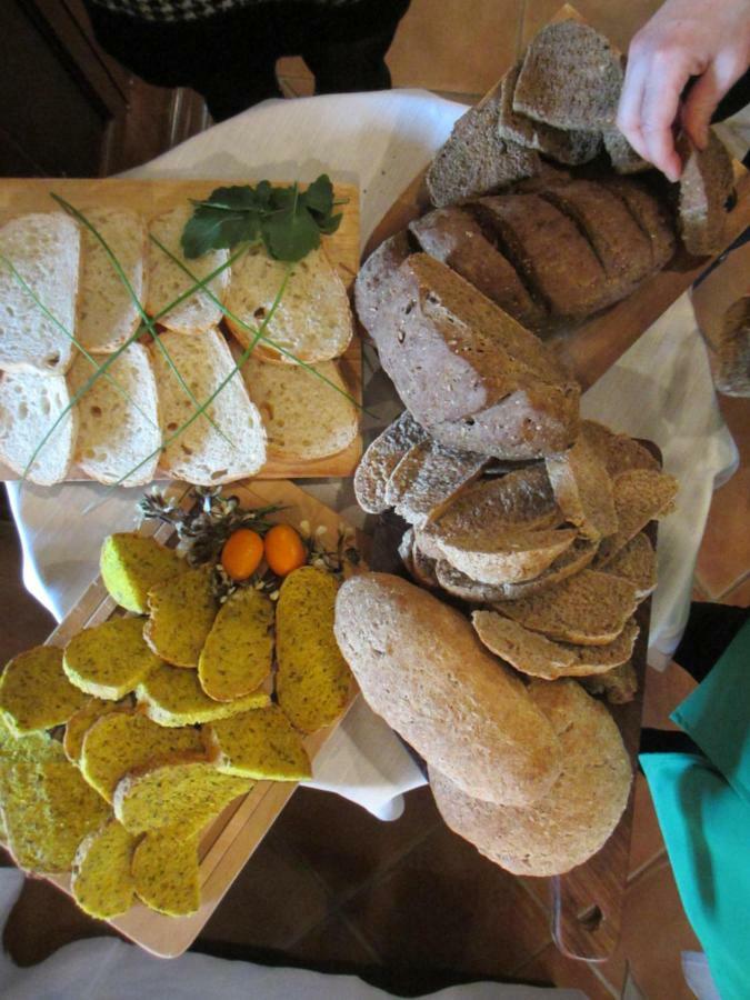 Agriturismo Il Felciaione 马萨马里蒂马 外观 照片