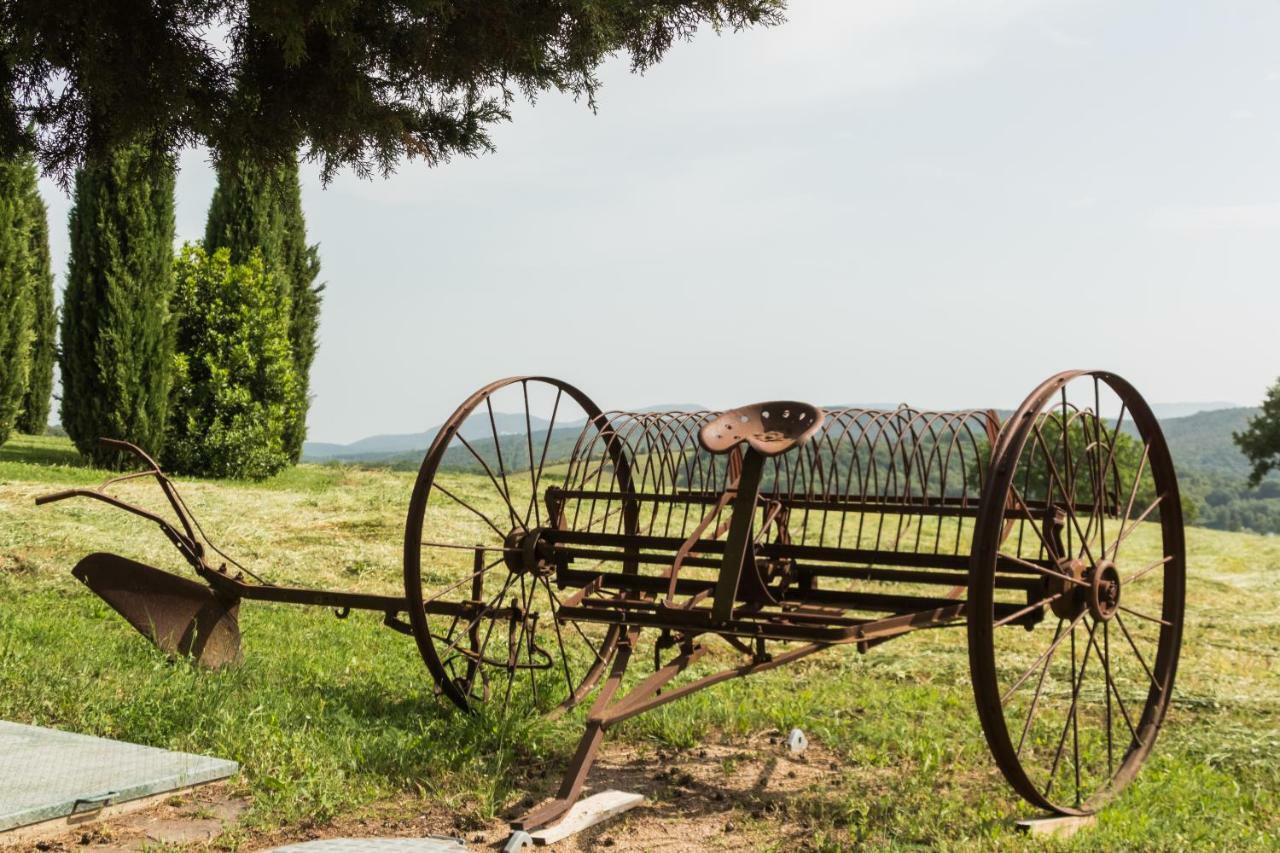 Agriturismo Il Felciaione 马萨马里蒂马 外观 照片